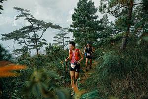 BIB: 
                            <button type="button" onclick="openModal(25260780)" class="btn btn-primary btn-sm float-right btn-popup" data-toggle="modal" data-target=".modal-high-quality">
                        <i class="fas fa-shopping-cart"></i> Add to Cart
                    </button>
                                            <button type="button" onclick="isThisMe(25260780, true)" class="btn btn-success btn-sm float-right btn-popup btn-isme hidden" data-toggle="tooltip" data-placement="bottom" title="นี่คือรูปของคุณใช่ไหม คลิกที่นี่เพื่อเอาเข้าอัลบั้ม">
                        <i class="fas fa-plus"></i> Add to album
                    </button>
                    <button type="button" onclick="isThisMe(25260780, false)" class="btn btn-warning btn-sm float-right btn-popup btn-isnotme hidden">
                        <i class="fas fa-ban"></i> Remove from album
                    </button>